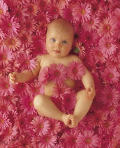 encore anne geddes