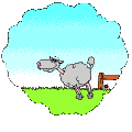 saute mouton