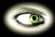 oeil